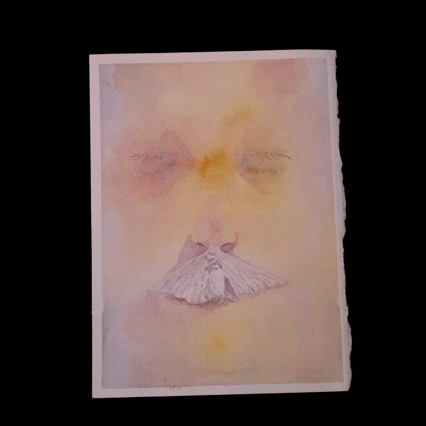 Whisper of the Butterfly(original hand-drawn sketch by Amy)