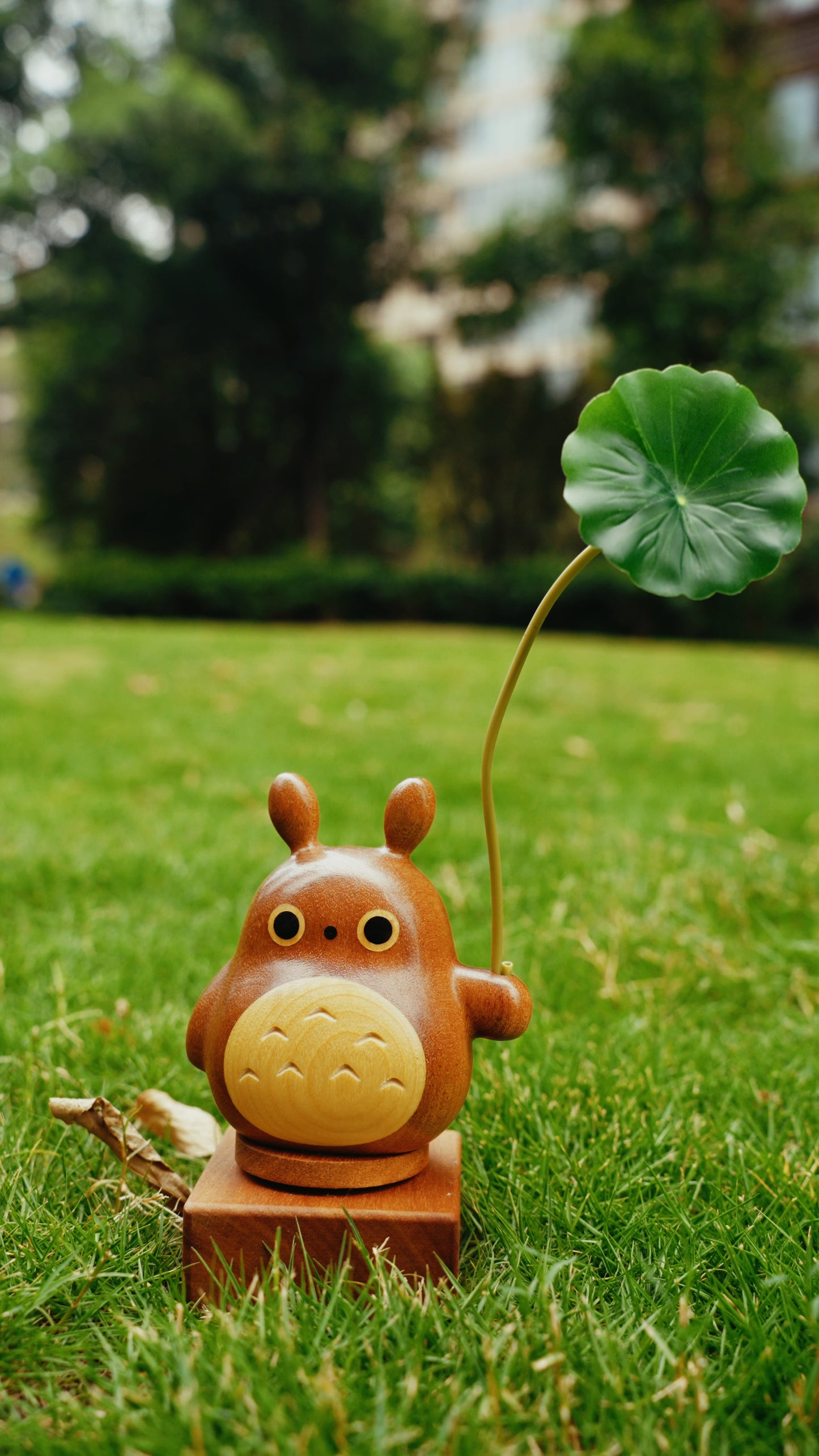Wooden Dragon cat Music box by Amy