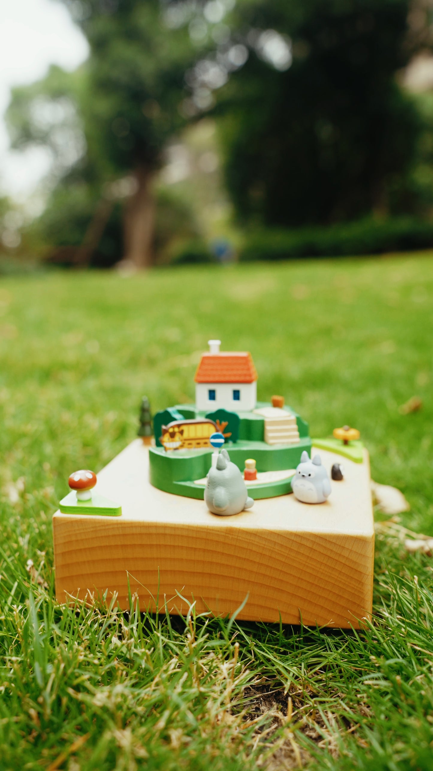 Wooden Music Box by Amy