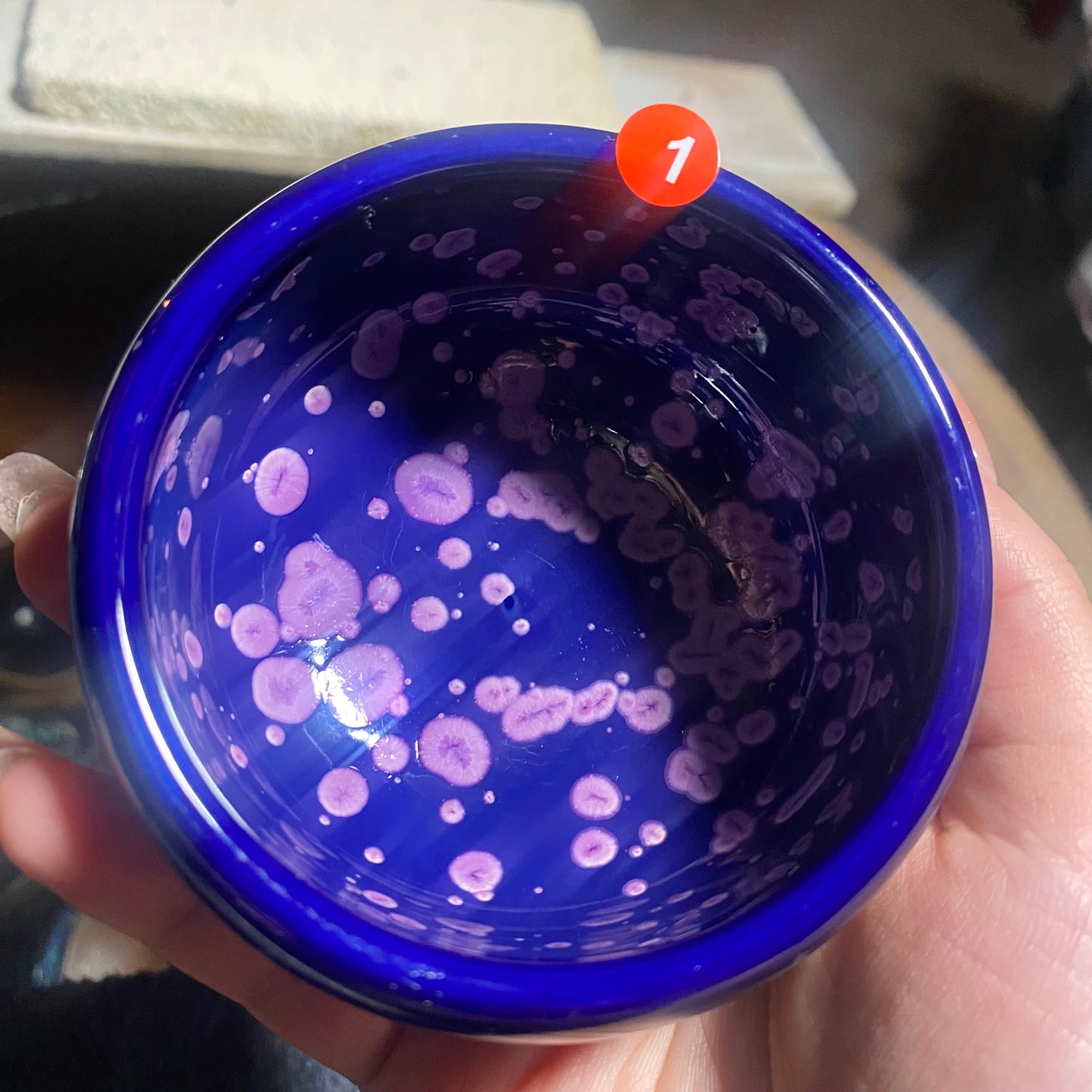 Jason Livestream Special