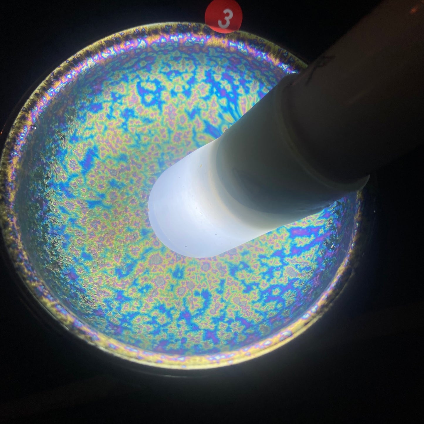 Jason Livestream Special