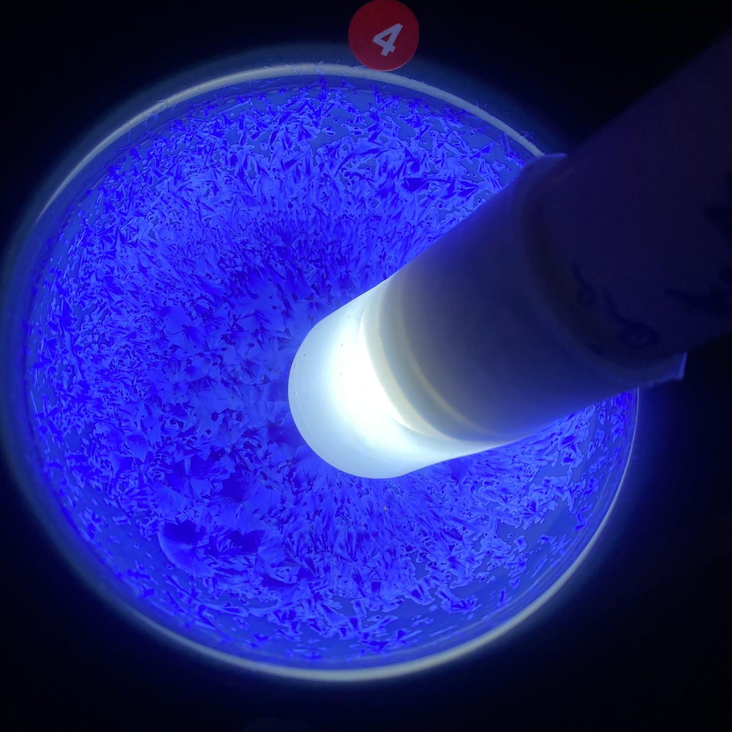 Jason Livestream Special