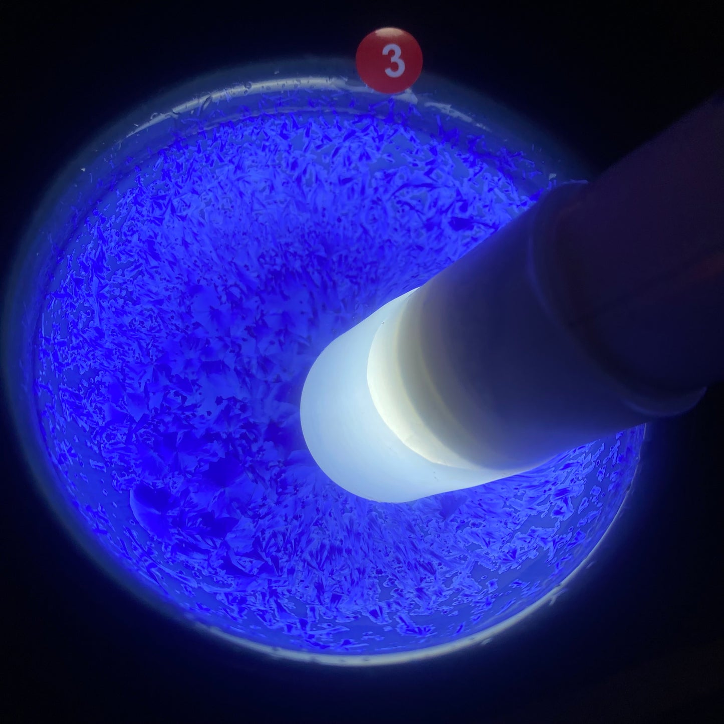 Jason Livestream Special