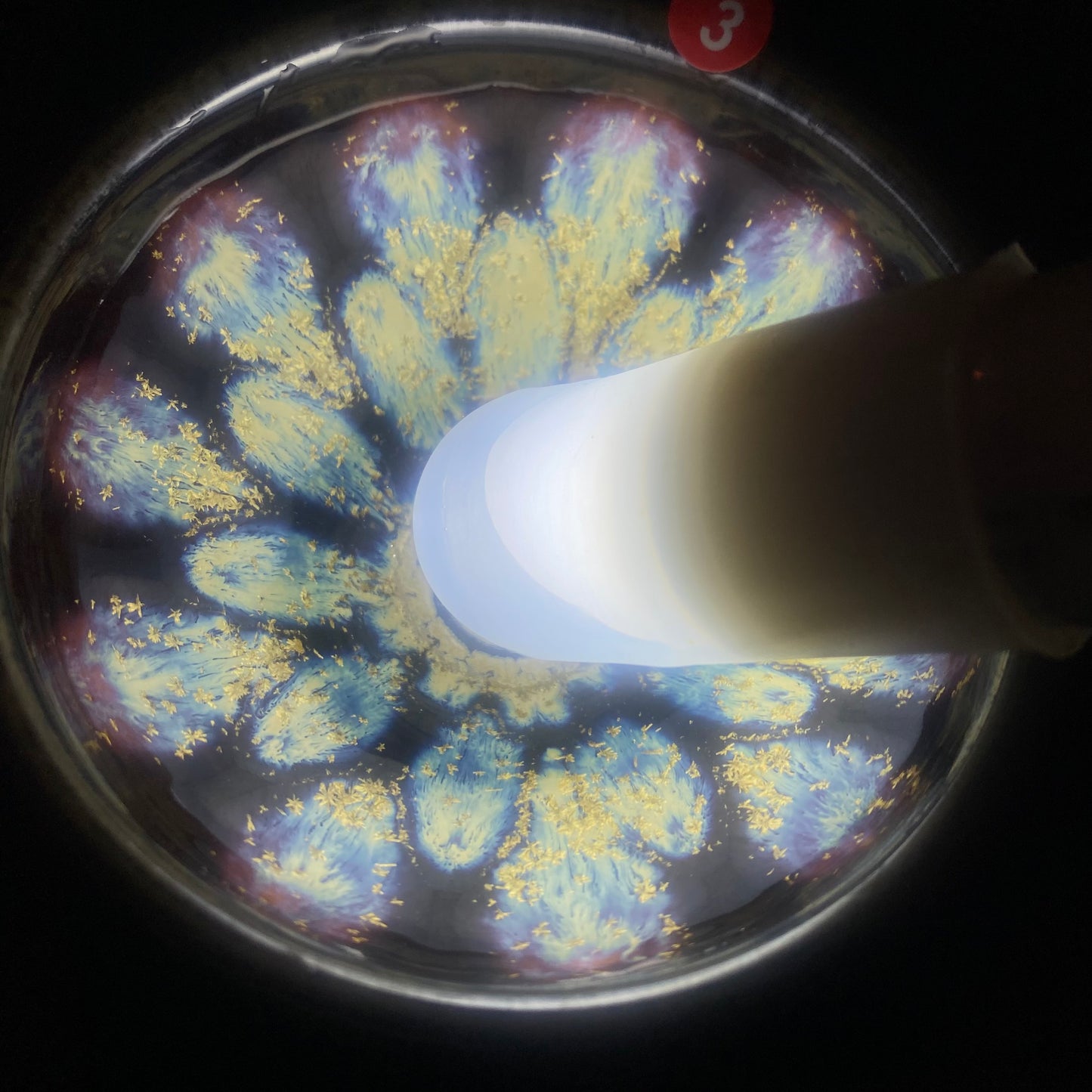 Jason Livestream Special