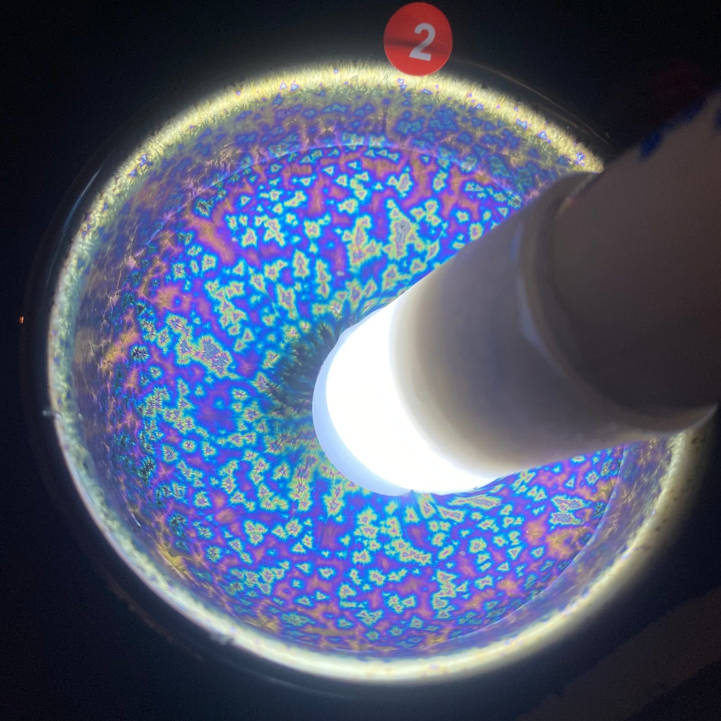 Jason Livestream Special