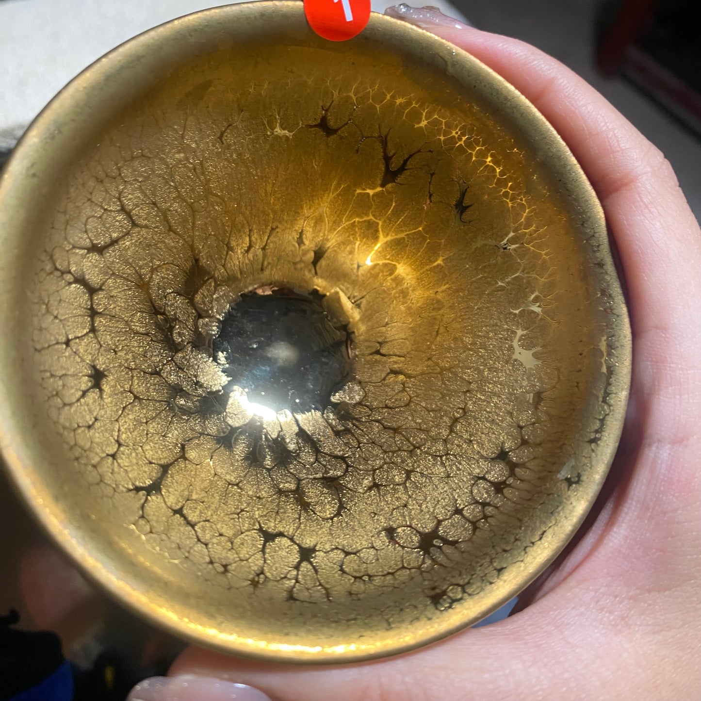 Jason Livestream Special