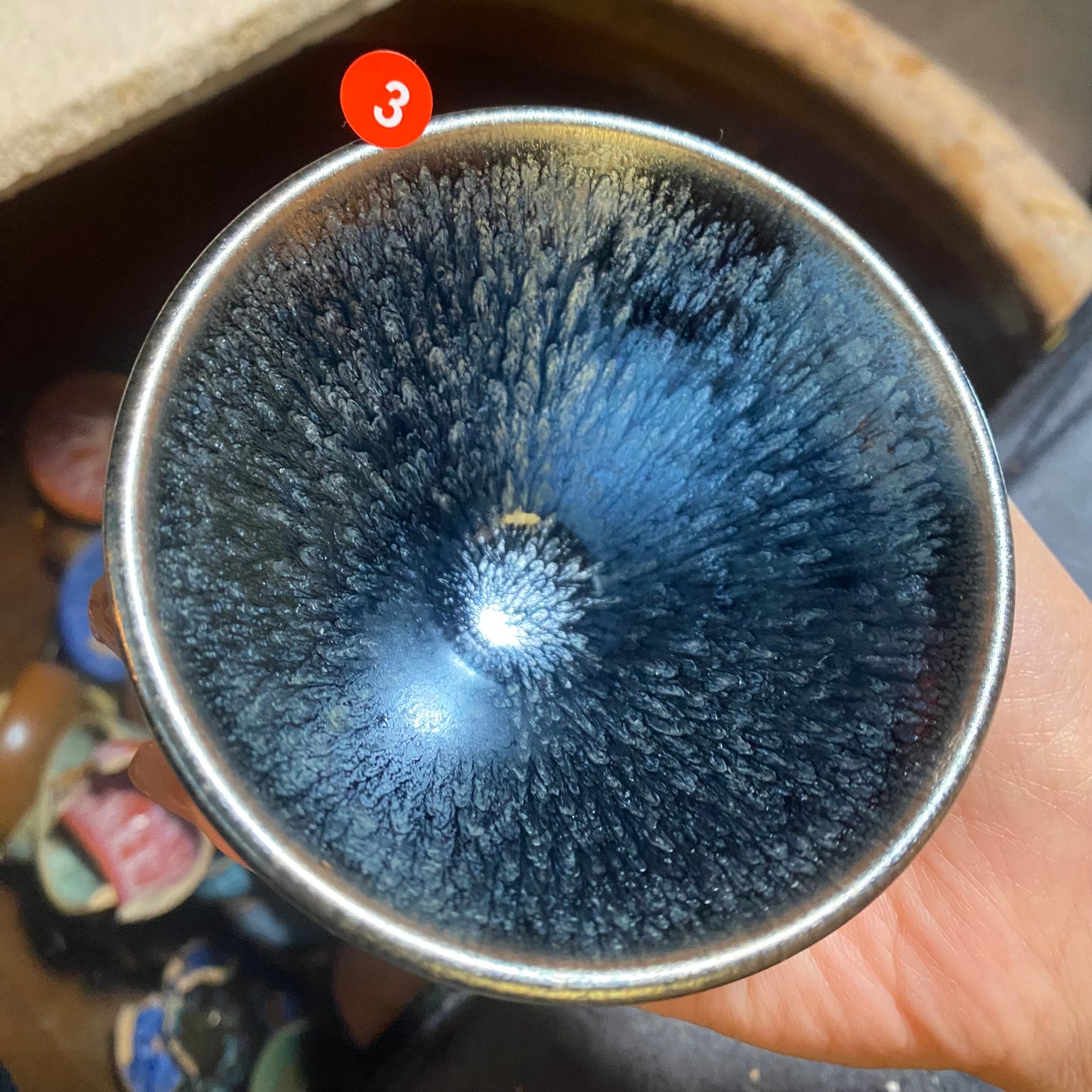 Jason Livestream Special