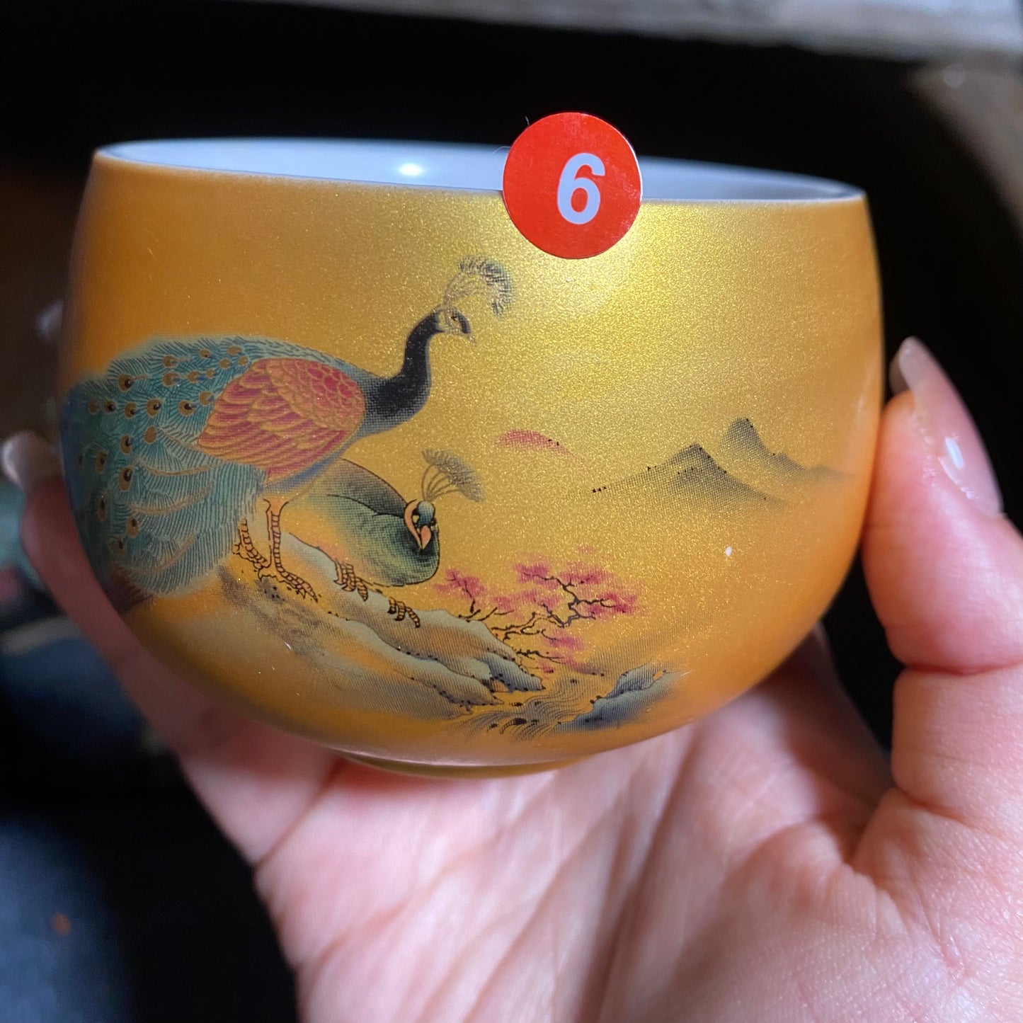 Jason Livestream Special