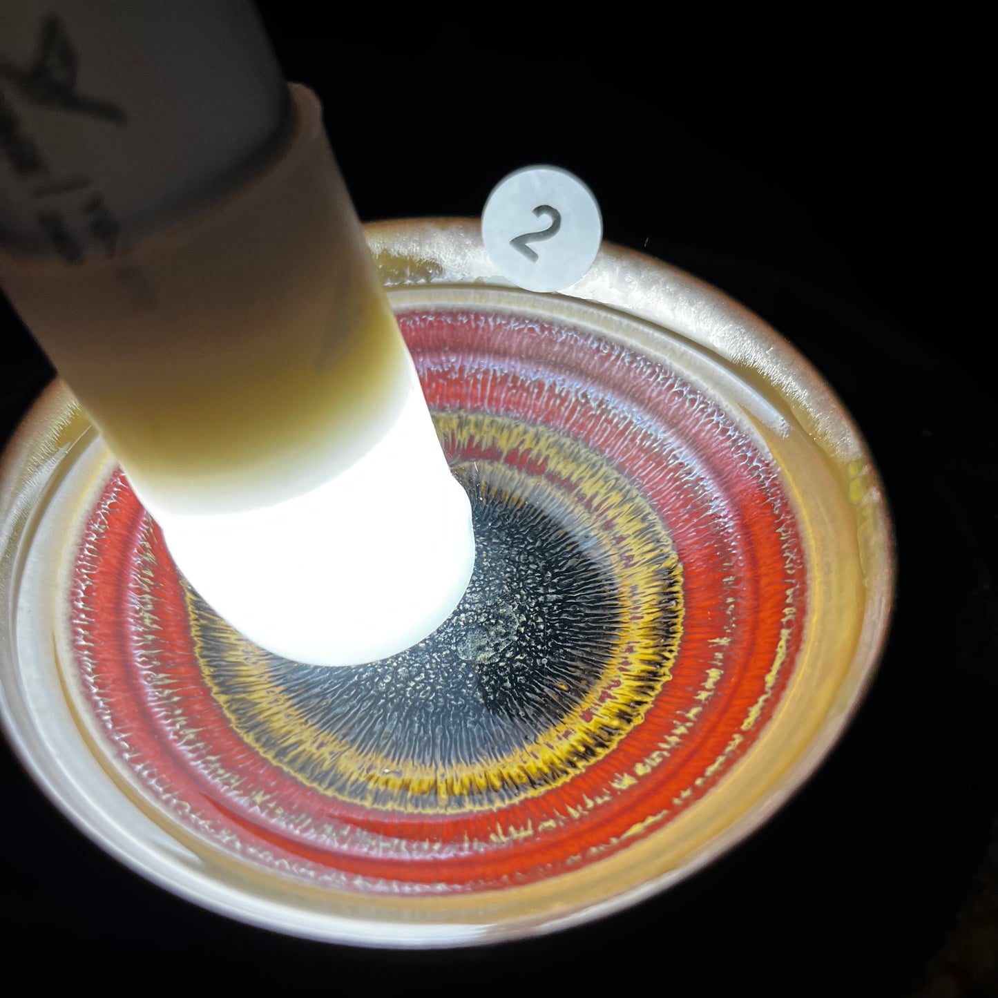 Jason Livestream Special