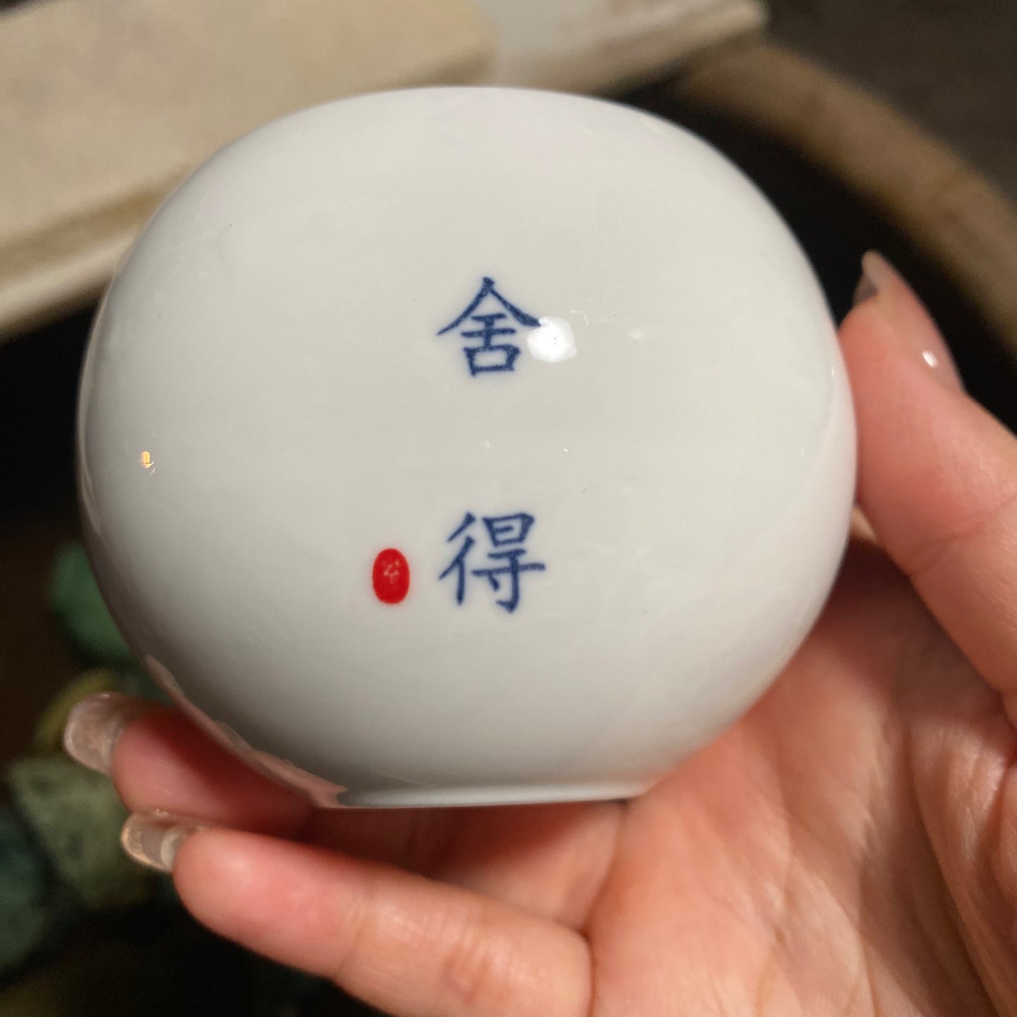 Jason Livestream Special