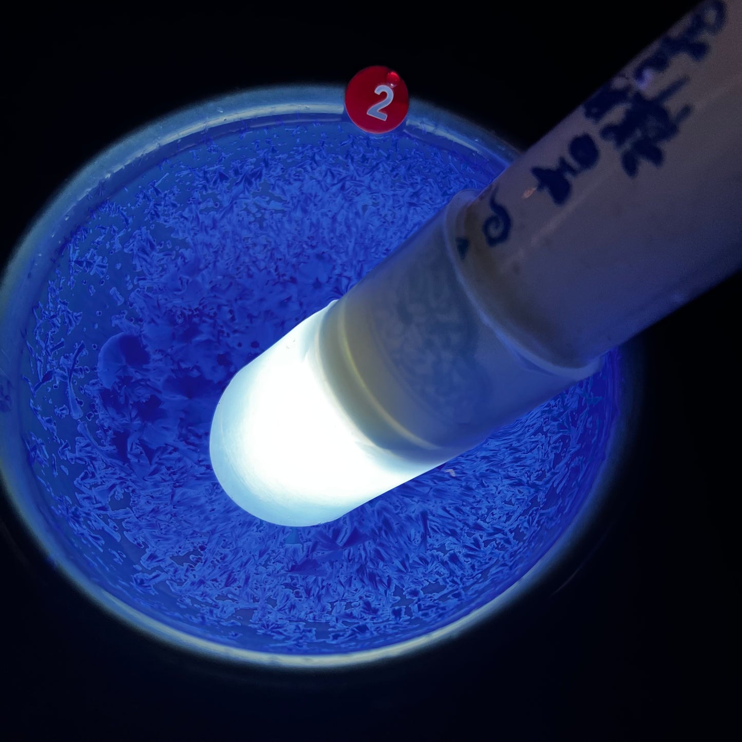 Jason Livestream Special