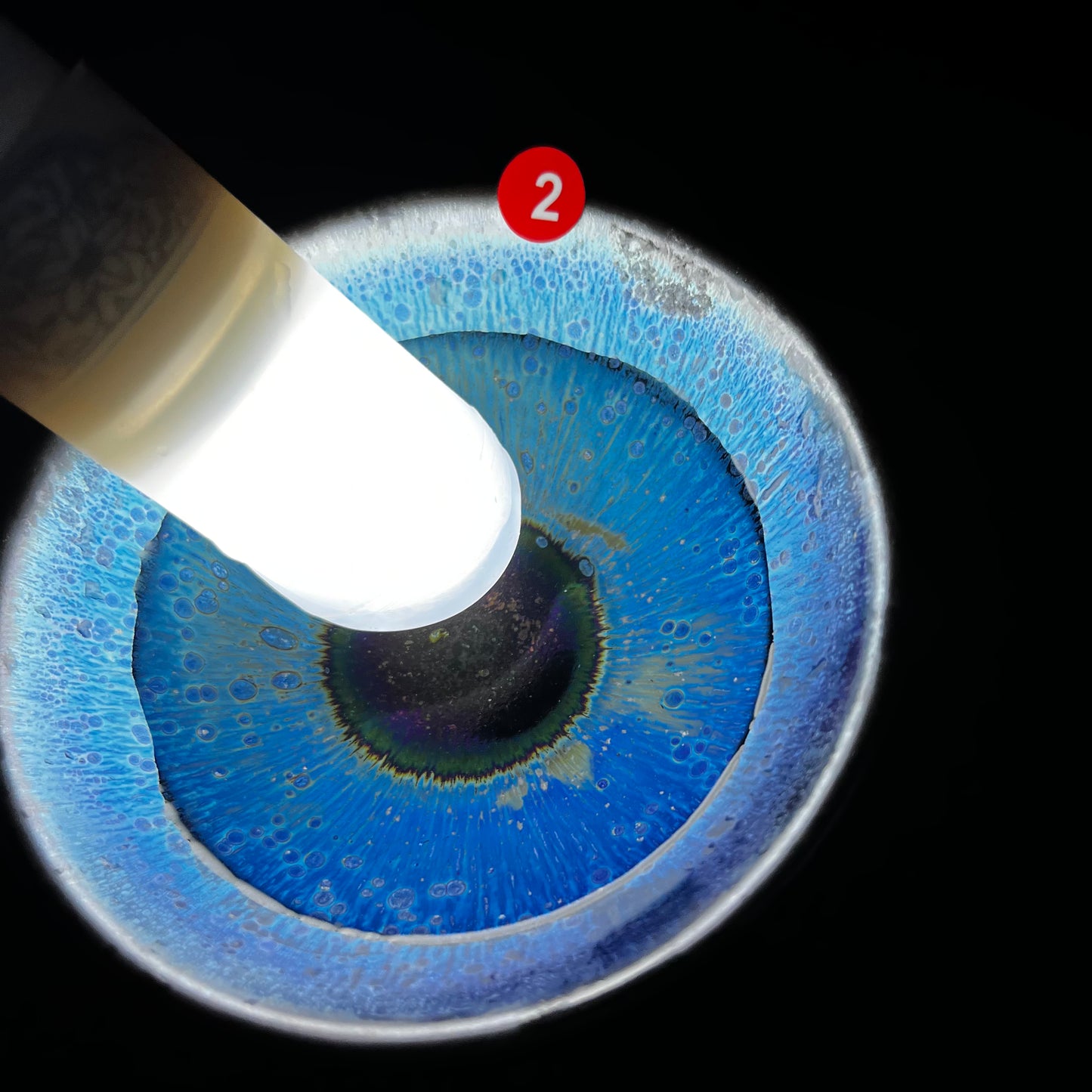 Jason Livestream Special