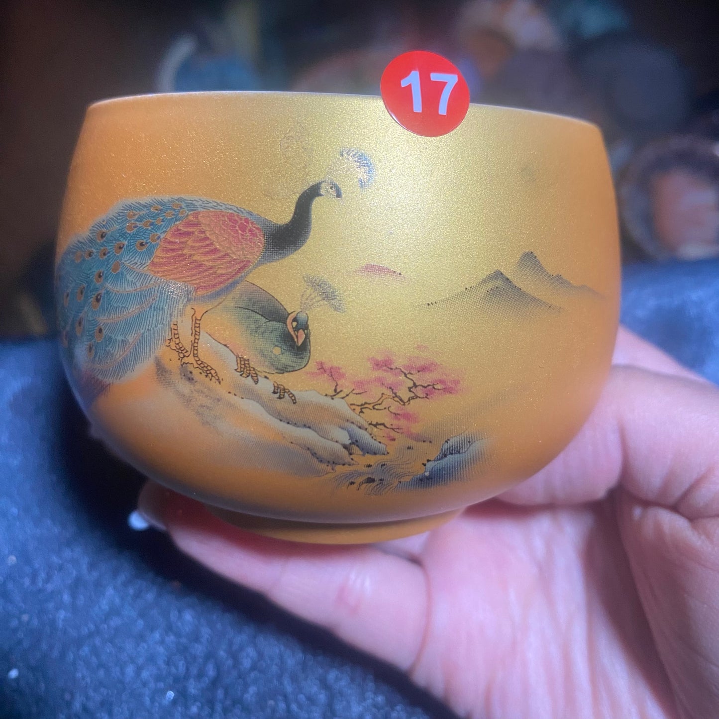 Jason Livestream Special