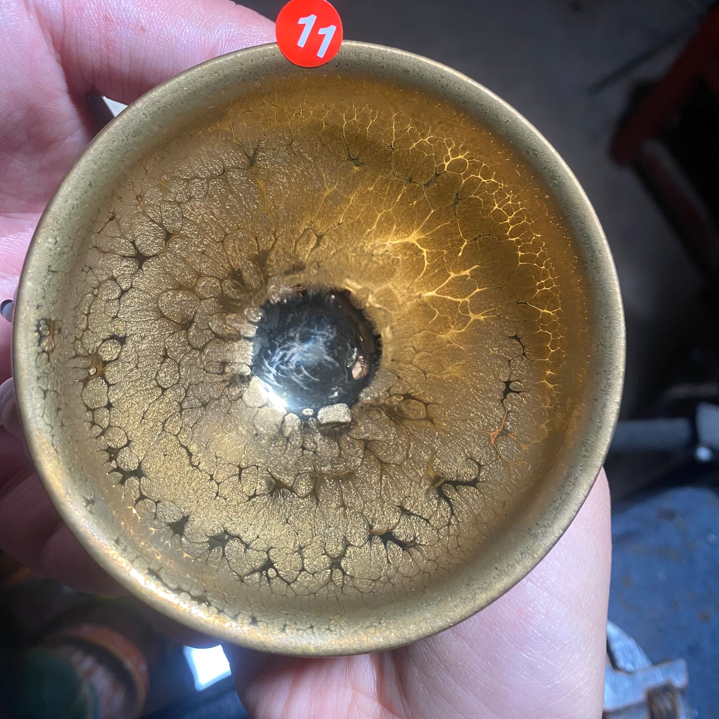 Jason Livestream Special