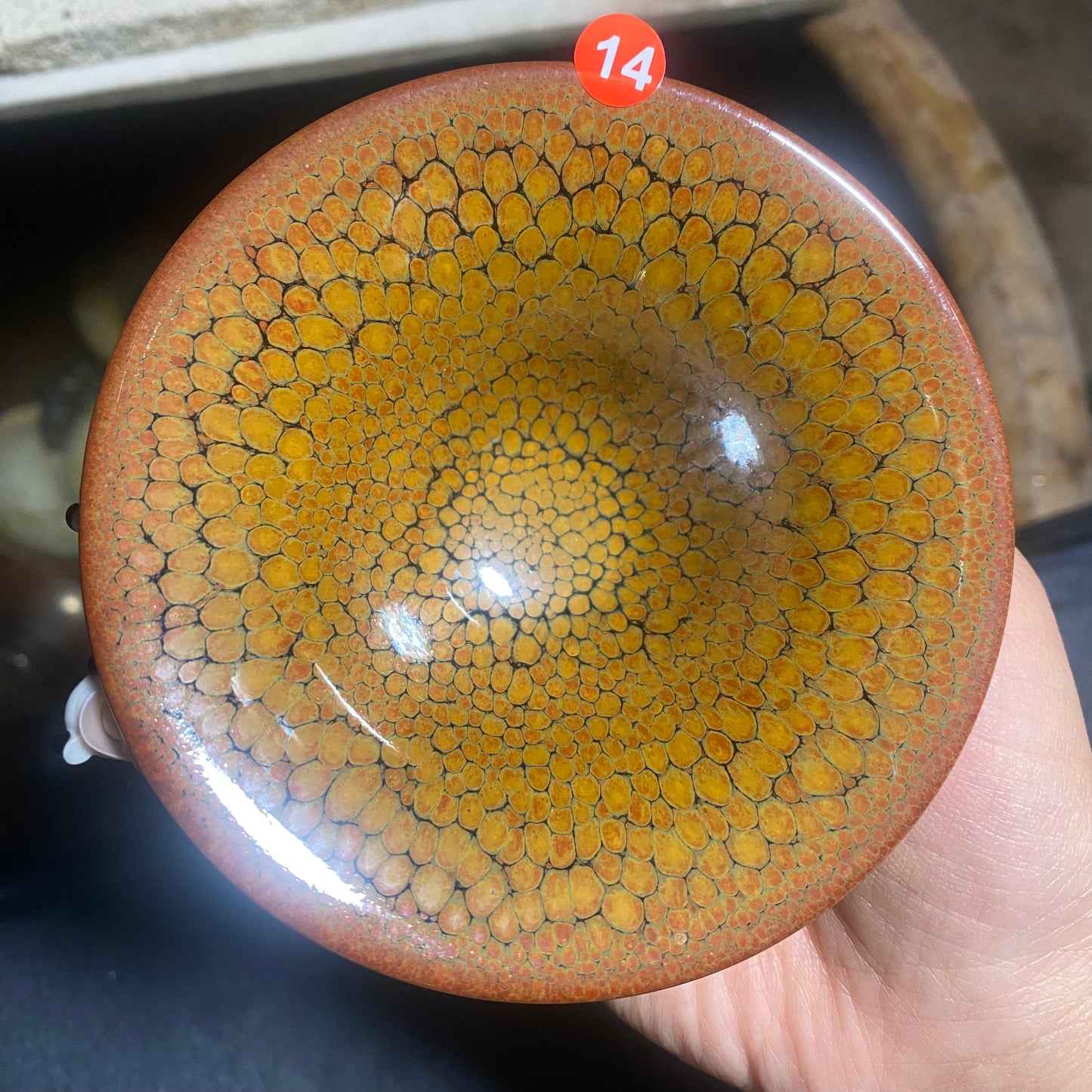 Jason Livestream Special