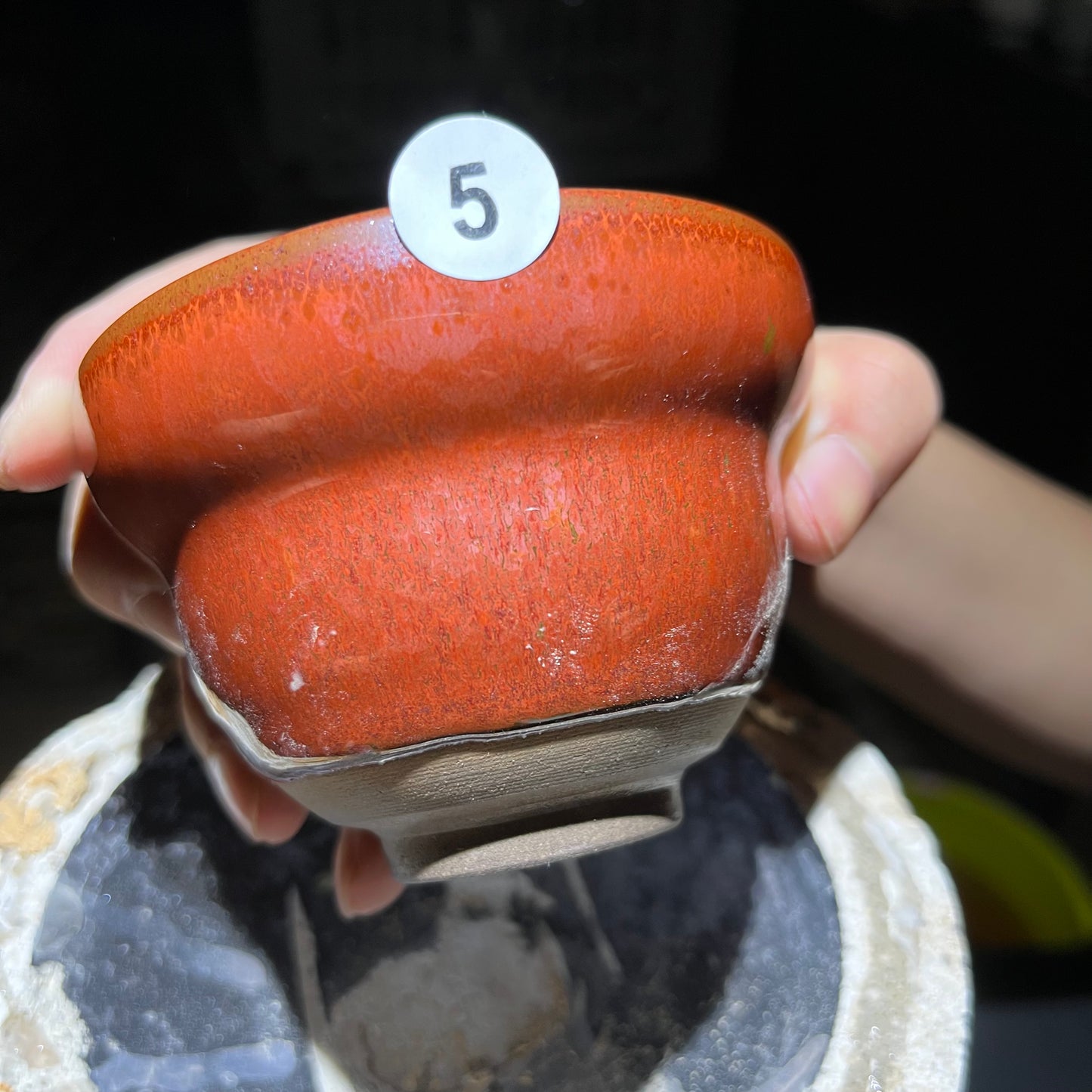 Jason Livestream Special