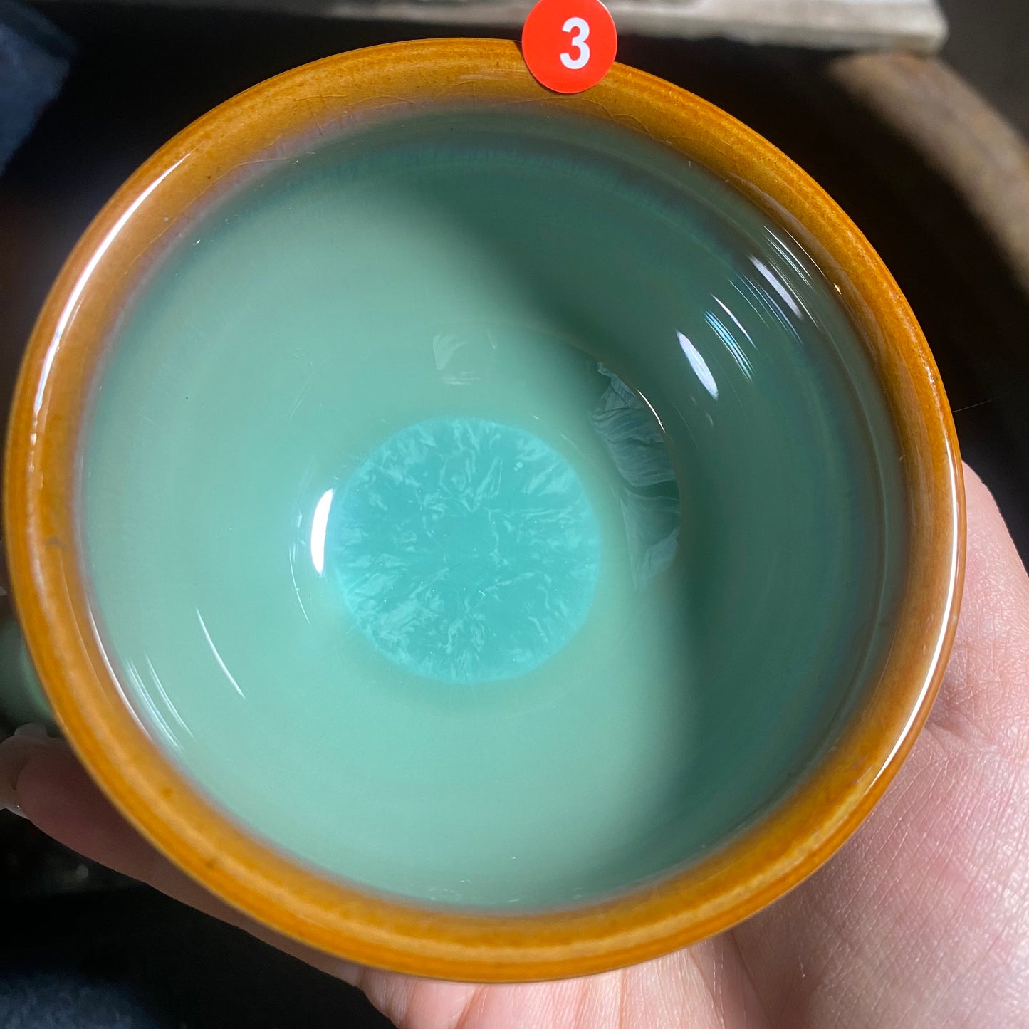 Jason Livestream Special