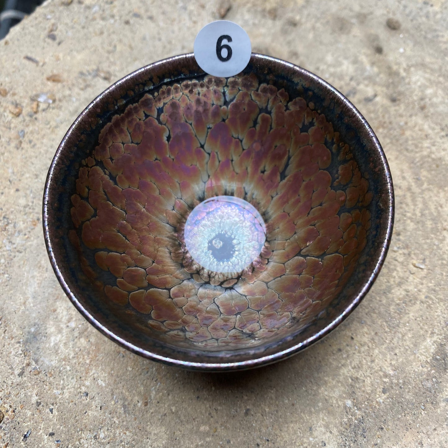 Jason Livestream Special