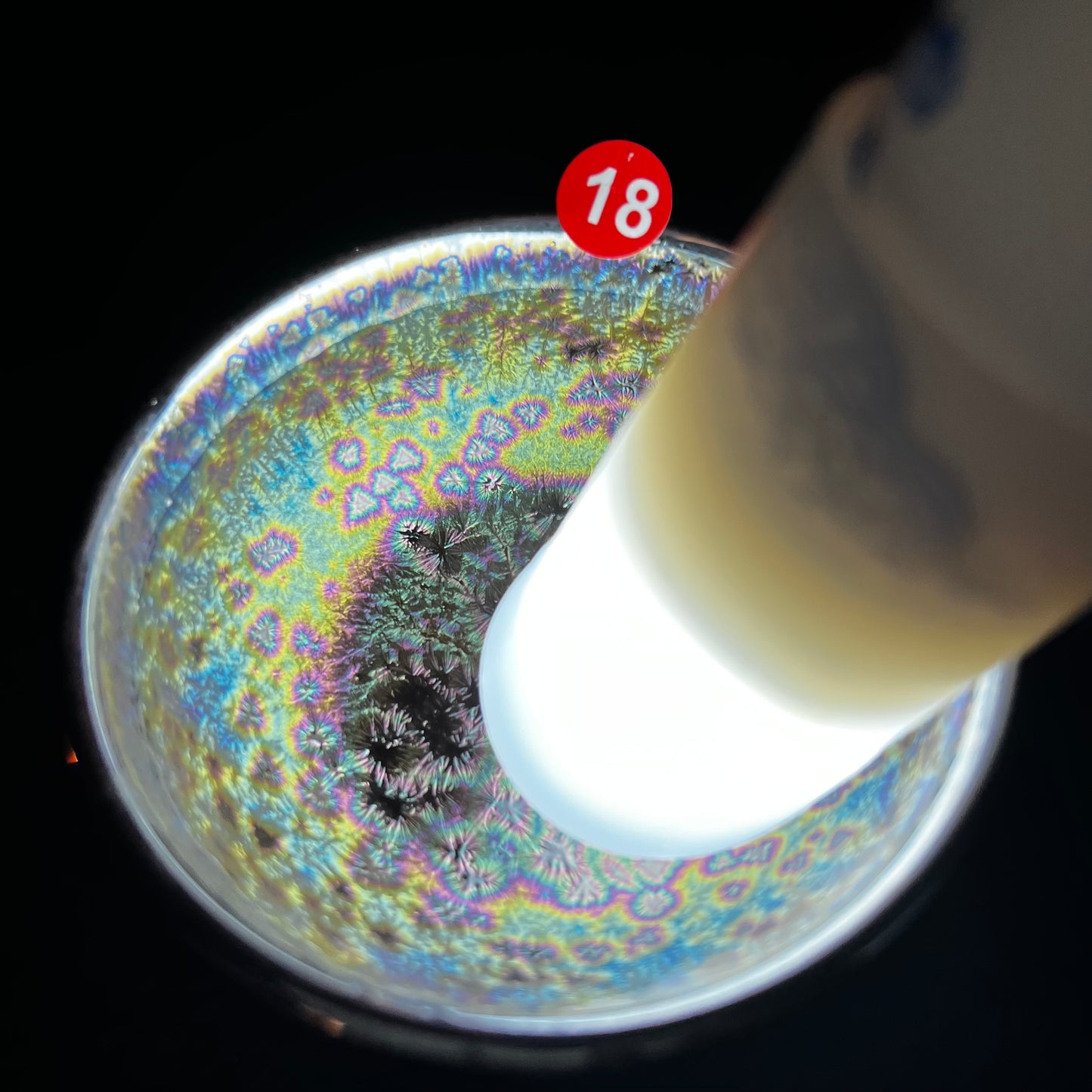 Jason Livestream Special