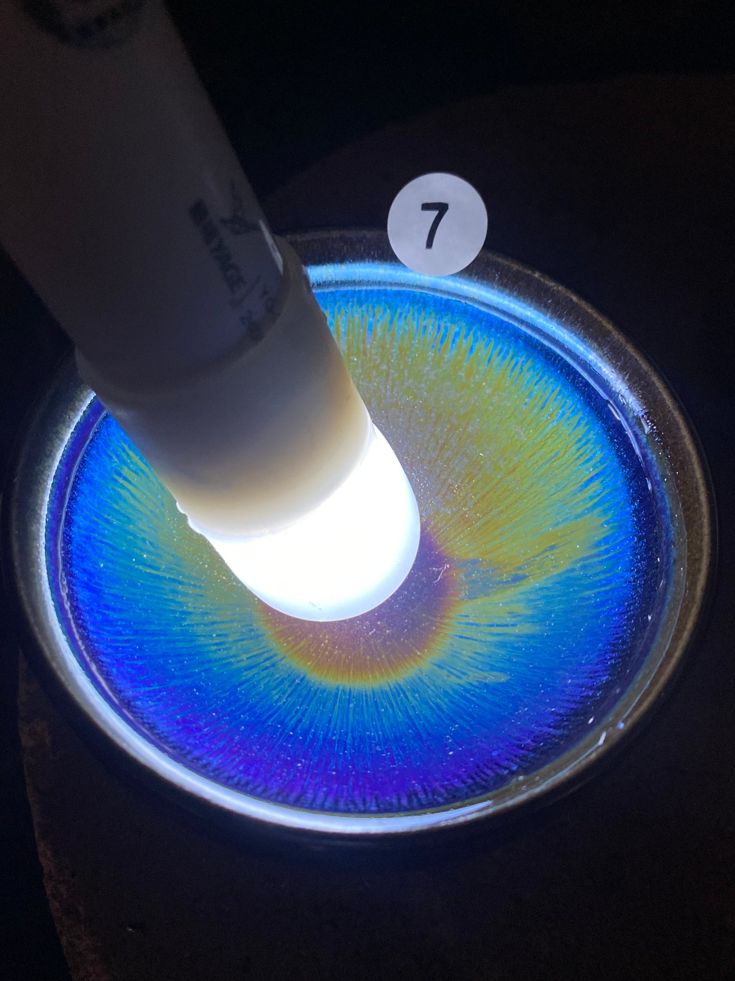 Jason Livestream Special