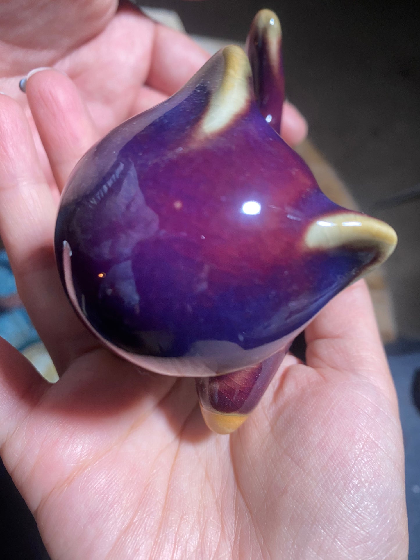 Jason Livestream Special