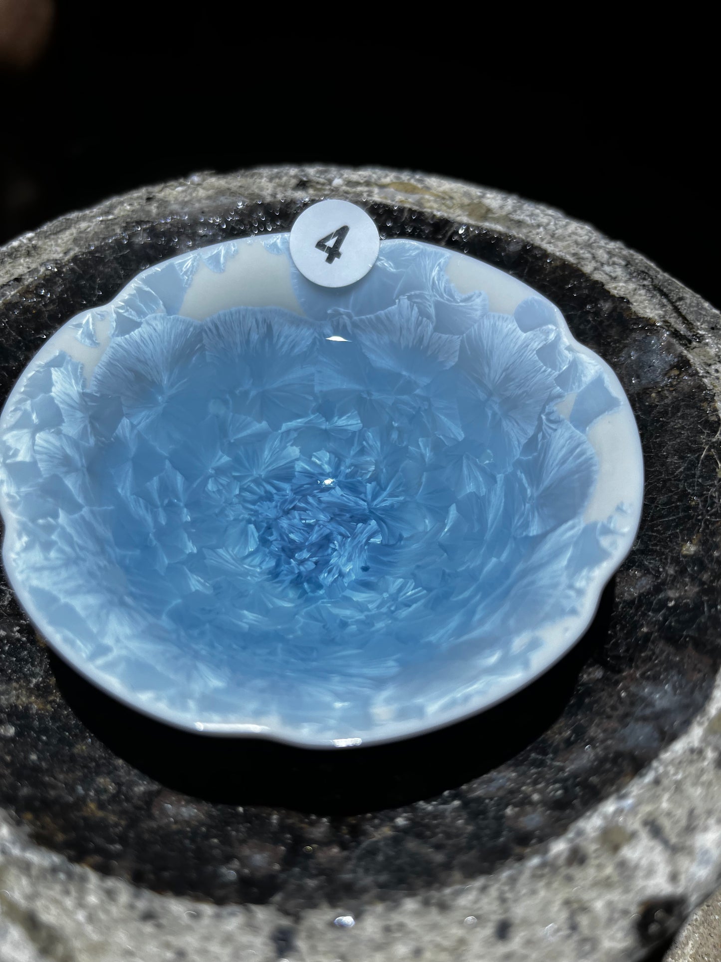 Jason Livestream Special